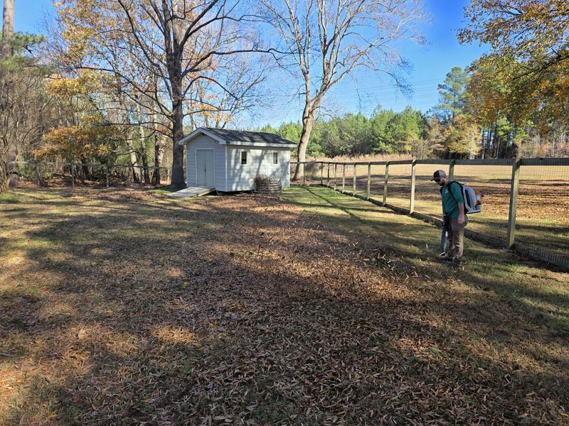 Backyard leaf removal before seasonal cleanup