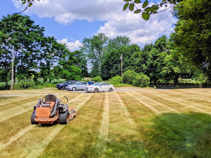 Zero-turn mower on a striped lawn next to a business parking lot
