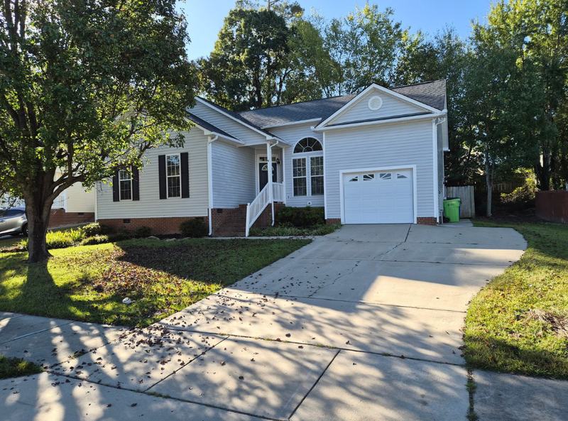 Driveway and front lawn before seasonal cleanup