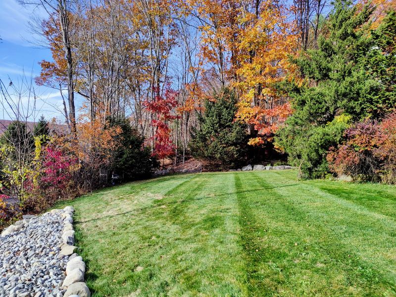 Fall color over a freshly striped lawn