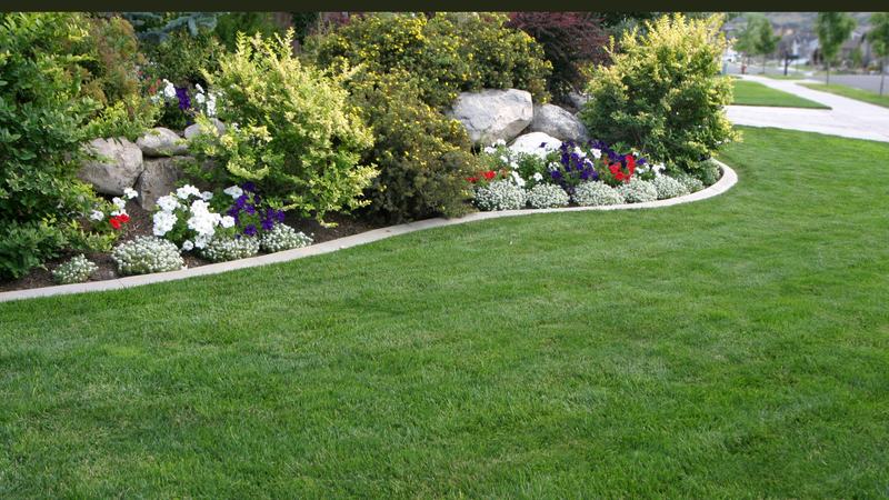 Curved flower bed with shrubs, flowers, and concrete curbing next to a green lawn