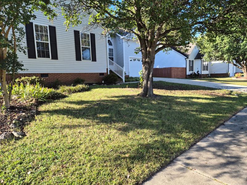 Front yard before lawn maintenance