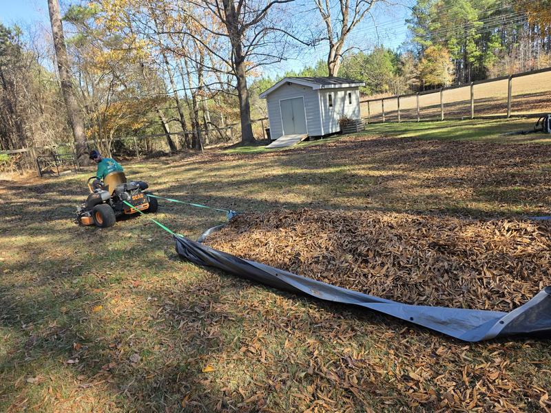 Leaves being moved onto a tarp during a fall cleanup