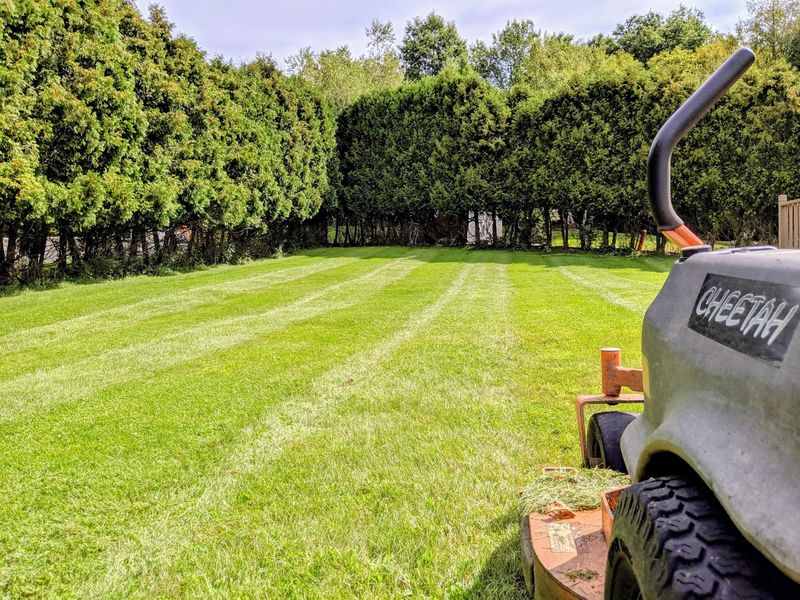 Zero-turn mower leaving clean stripes across a big lawn
