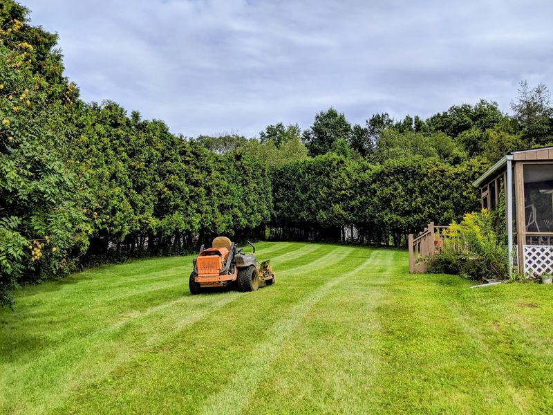 Zero-turn mower on a freshly striped backyard lawn