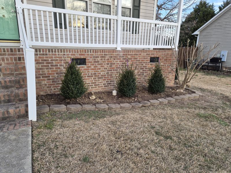 Three new shrubs planted along a brick foundation with a stone border