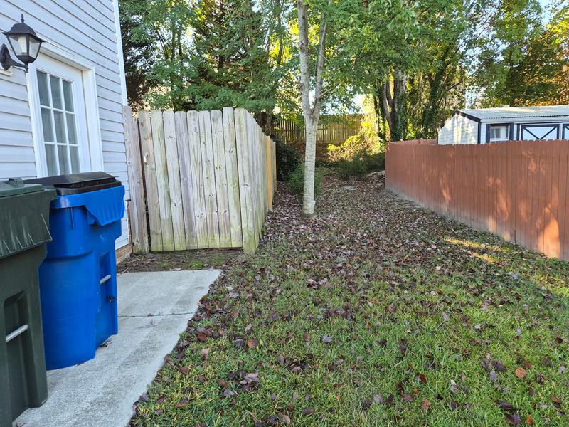 Side yard before seasonal cleanup