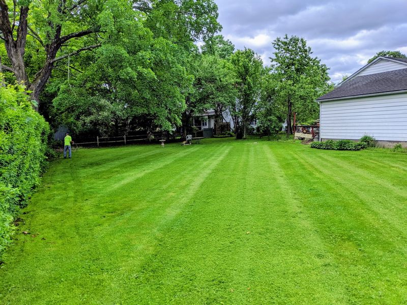 Long striped backyard lawn lined with trees