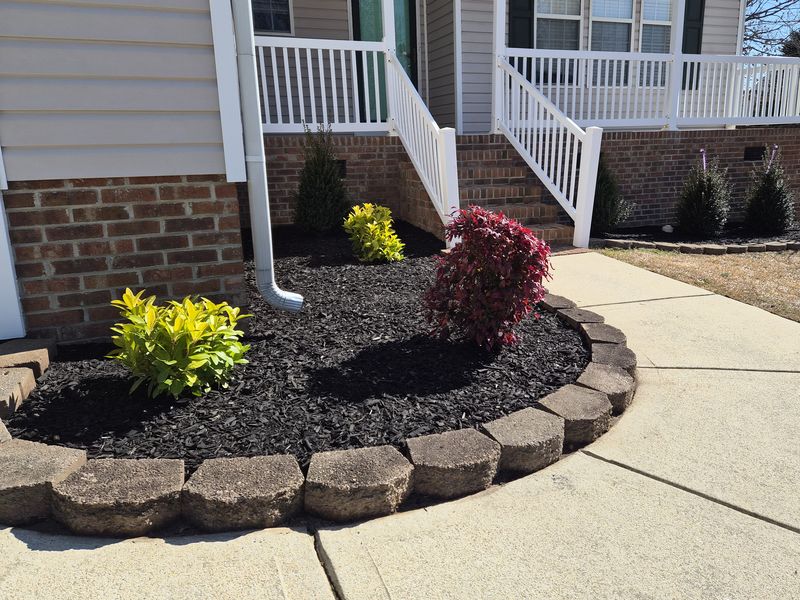 Walkway bed with fresh black mulch, new shrubs, and a stone border
