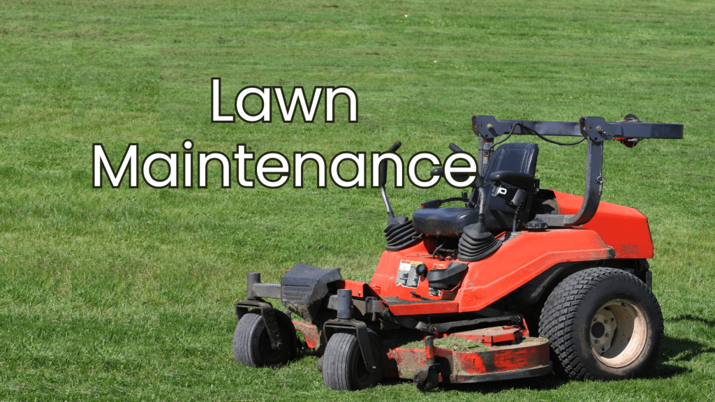 Lawn Maintenance Services